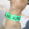 Fetlock ID Band - Image 5