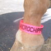 Fetlock ID Band - Image 4