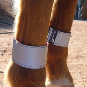Reflective leg band set 2" wide: available in small, standard (medium) and XL/draft sizes, silver only