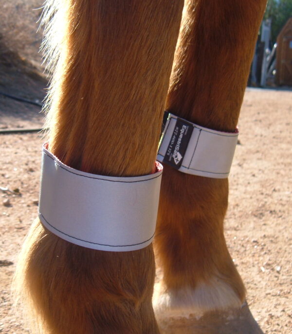 Reflective leg band set 2" wide: available in small, standard (medium) and XL/draft sizes, silver only