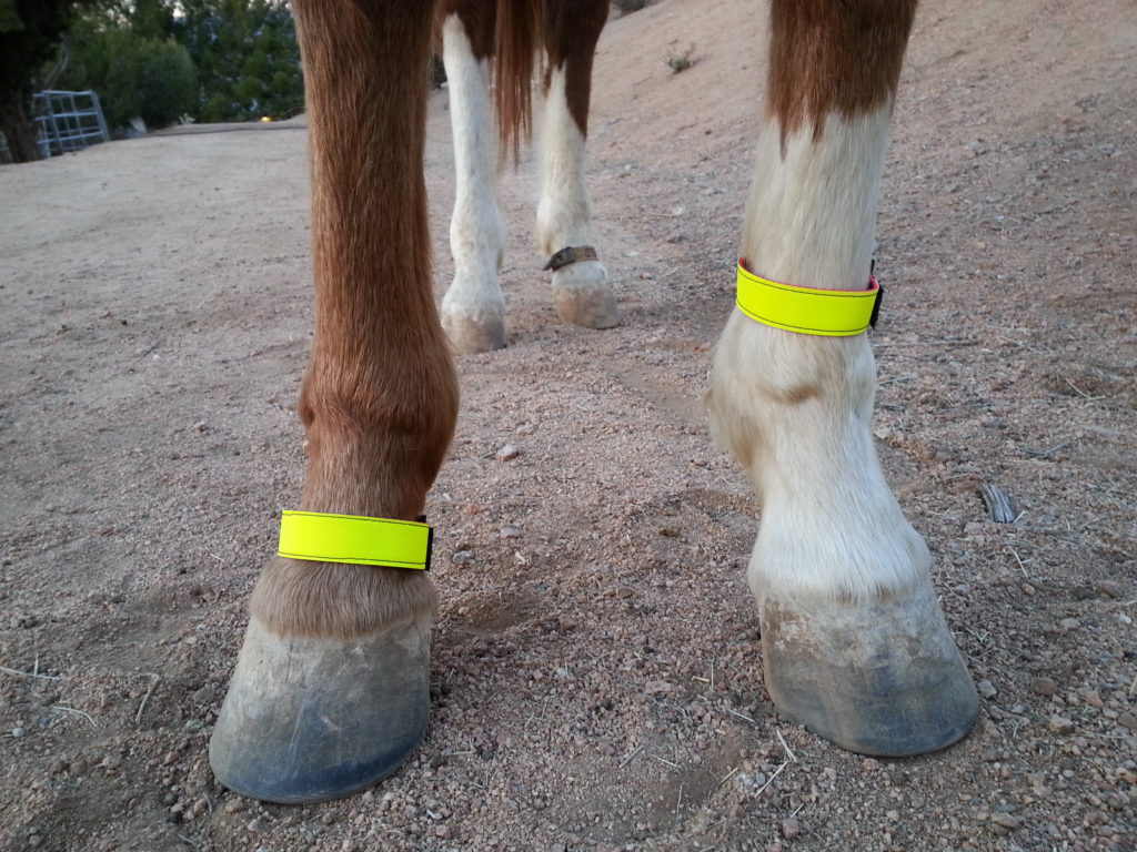 Reflective 1" Leg Band Set EquestriSafe, LLc