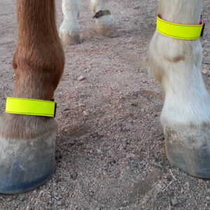 Reflective leg band set 1": available in standard (medium) only: colors available in silver and yellow