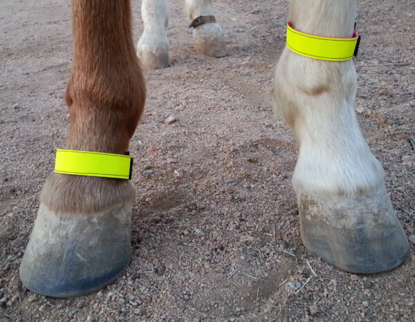 Reflective leg band set 1": available in standard (medium) only: colors available in silver and yellow