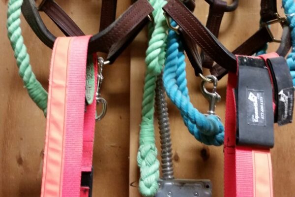 Equine ID Collars by EquestriSafe with Evacuation halters and lead ropes ready for use