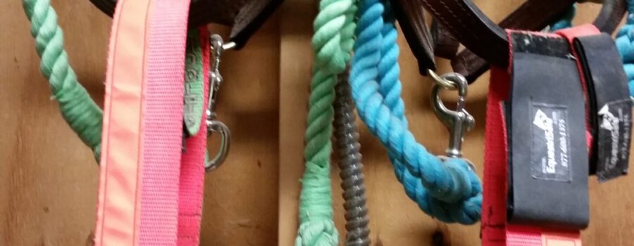Equine ID Collars by EquestriSafe with Evacuation halters and lead ropes ready for use