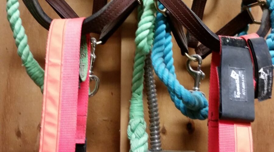 Equine ID Collars by EquestriSafe with Evacuation halters and lead ropes ready for use