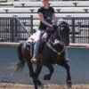 Fetlock ID Band - Image 12