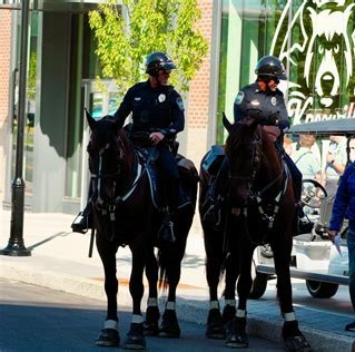 Mounted Police Officers with Reflective Leg bands from EquestriSafe