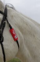 Rescue facts - horse - animal