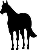Traditional halter horse stance silhouette reflective decal left facing. Also available right facing and in red or white color.