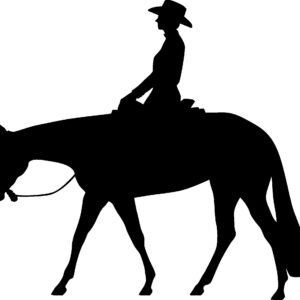 Black silhouette of a woman western pleasure rider left facing in black. Also available in right facing and red or white in color.