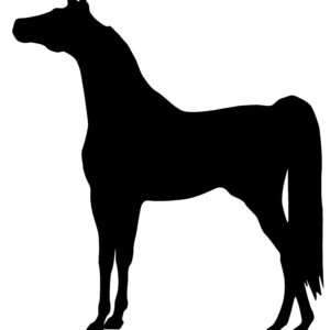 Black silhouette of an Arabian Horse in halter stance facing left. Also available in right facing and in red or white color.