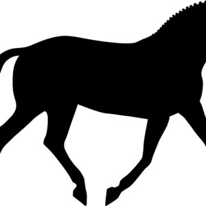 Warmblood Horse silhouette black right facing. Also available right facing and in red and white color.
