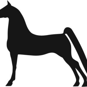 Traditional Morgan Horse in halter silhouette, black, facing left. Also available facing right and in red or white color.