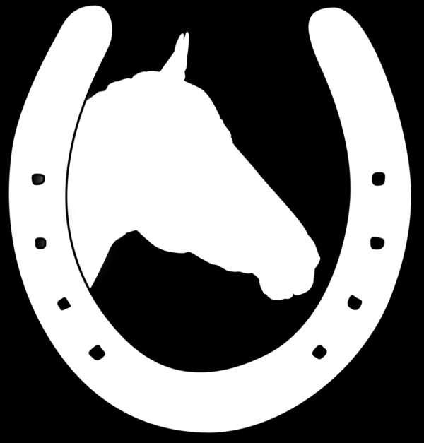 Large Horseshoe with Horse Head Sweatshirt Hoodie - Image 2