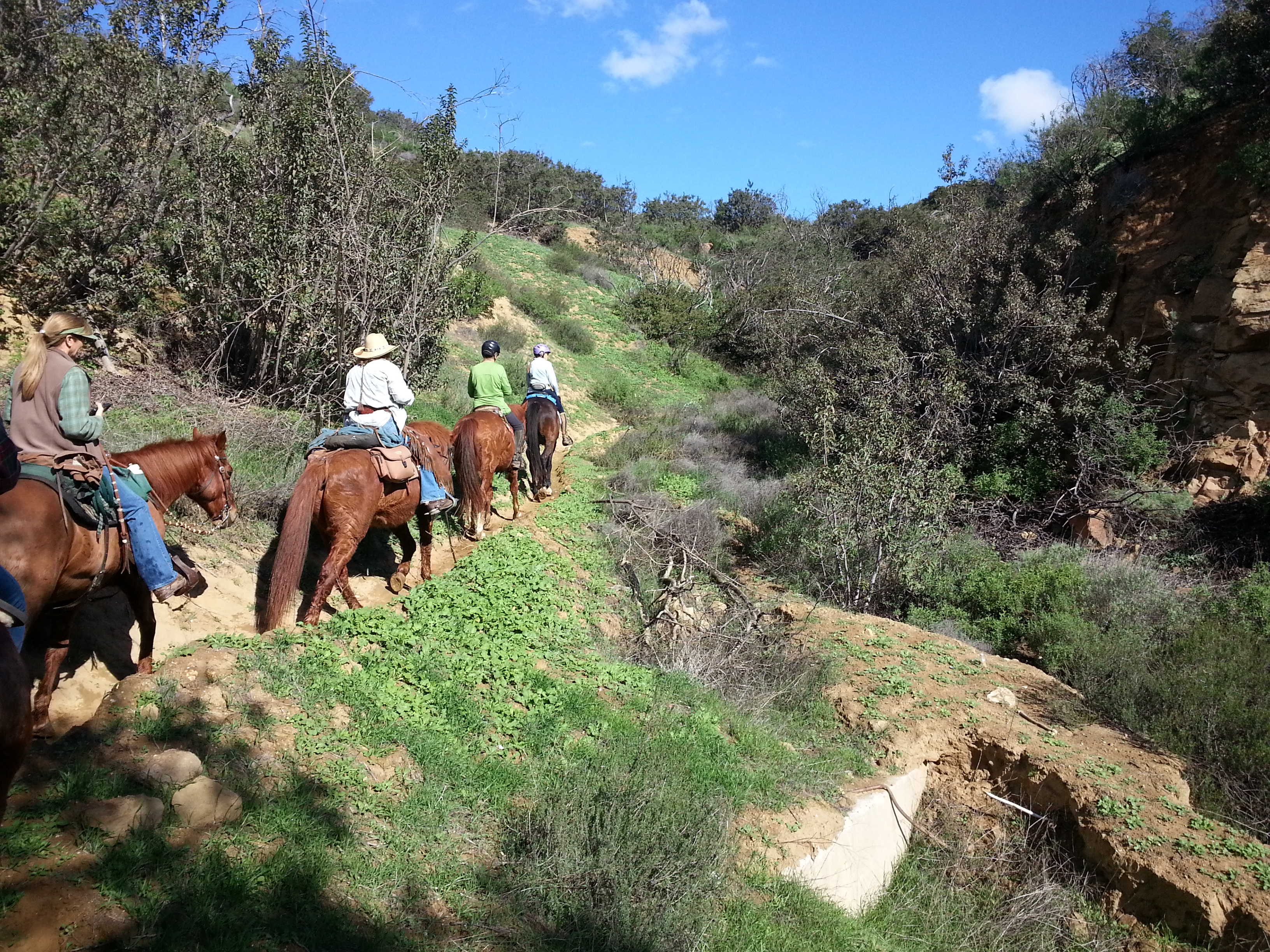 Group of trail riders on a sunny day
