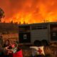 Horse Owner’s Guide to Wildfire Disaster Preparedness
