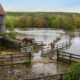 Hazards for horses in flood waters