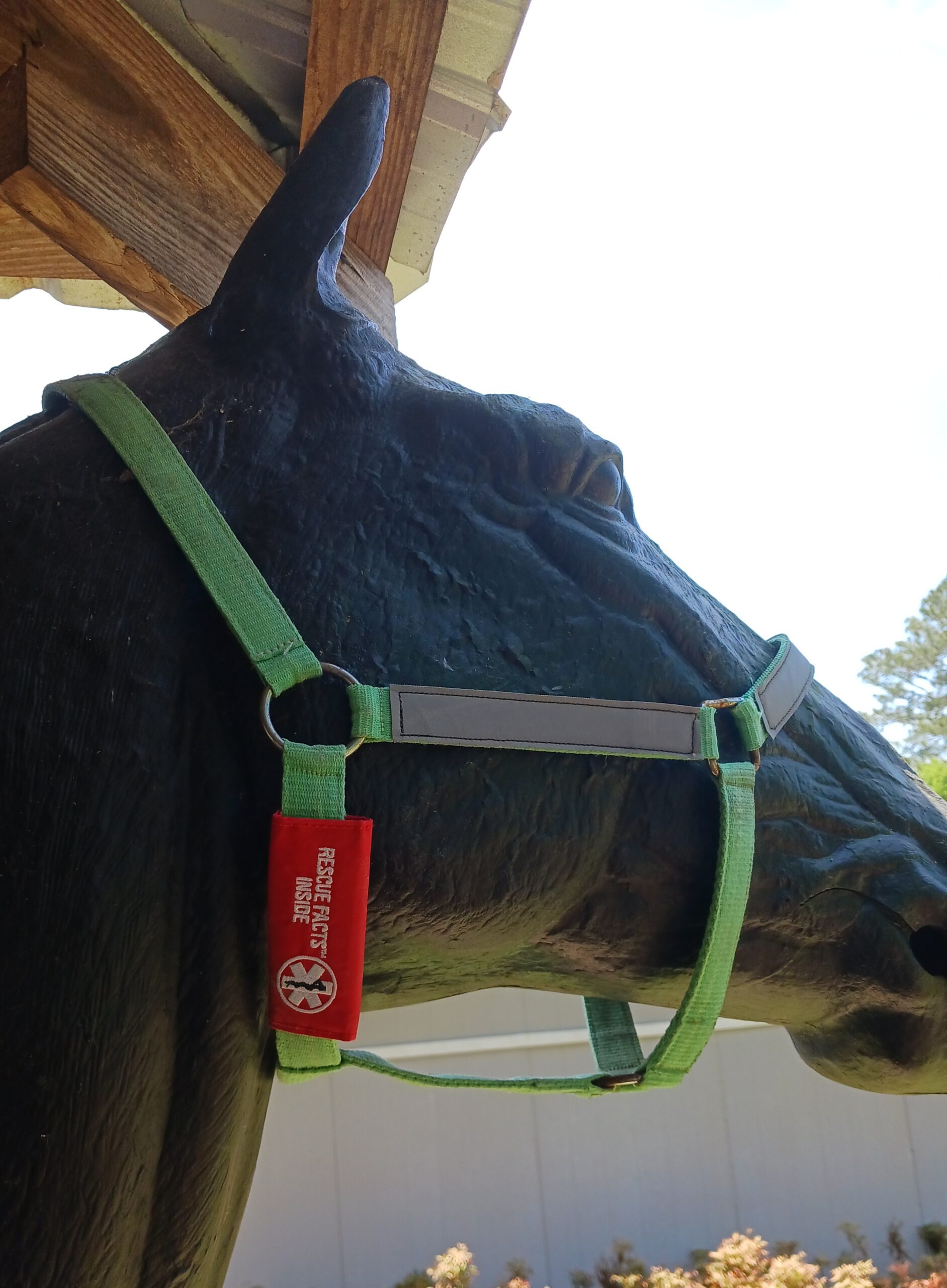 Rescue facts on a halter.