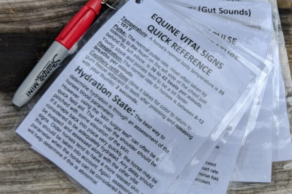 Quick Reference Guide by EquestriSafe