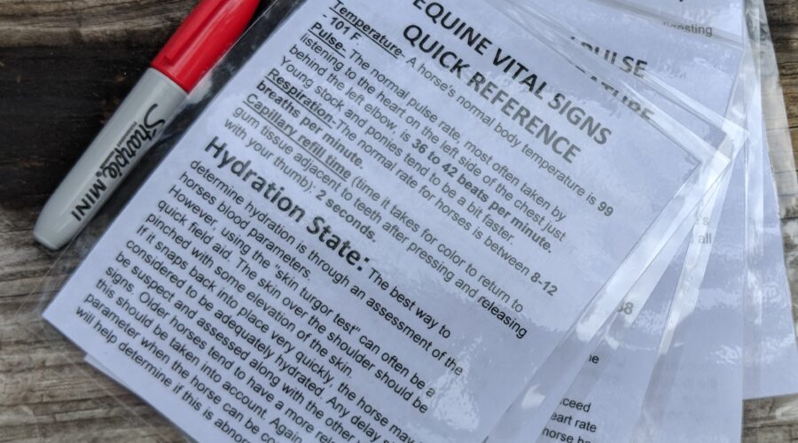Quick Reference Guide by EquestriSafe